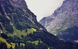 gray and green mountain, landscape, mountains, nature