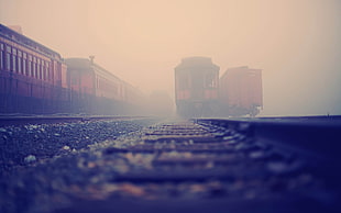 red classic train covered with thick fog