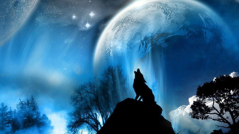 silhouette of howling wolf digital wallpaper, fantasy art, wolf HD wallpaper