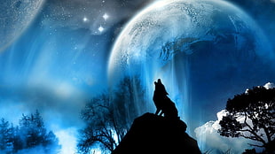 silhouette of howling wolf digital wallpaper, fantasy art, wolf