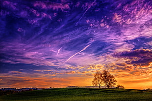 green grass field under blue and orange clouds digital wallpaper, landscape, trees, clouds, sky