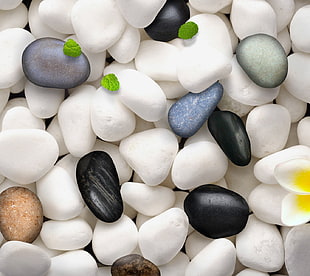 assorted-color pebbles, stones
