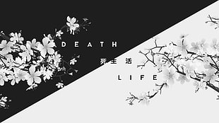 Death and Life illustration, dark, white, life, death