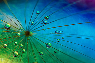 green water drops photography HD wallpaper