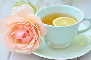 pink Rose flower beside white ceramic cup with tea on saucer