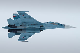 gray and white fighter jet, aircraft, Sukhoi Su-27UB