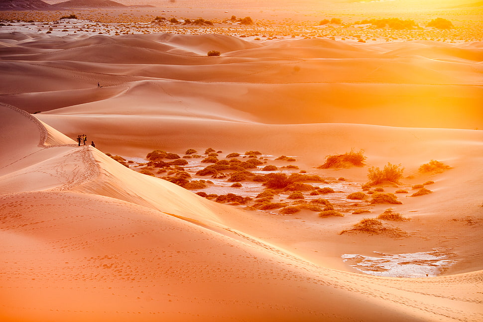 three person standing on a desert HD wallpaper