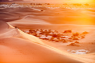 three person standing on a desert