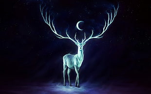 gray deer illustration HD wallpaper