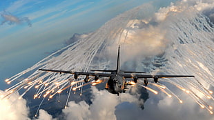 gray jetfighter, aircraft, Lockheed C-130 Hercules