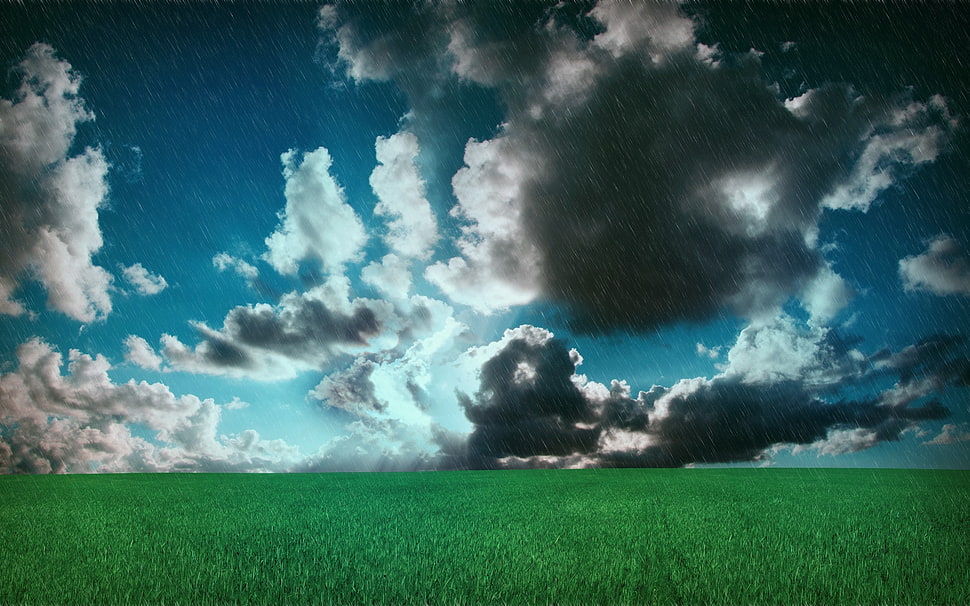 green grass field under gray clouds and blue sky during daytime HD wallpaper