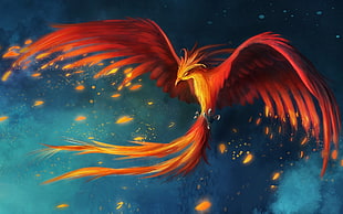 red and orange falcon digital wallpaper, digital art, fantasy art, birds, wings