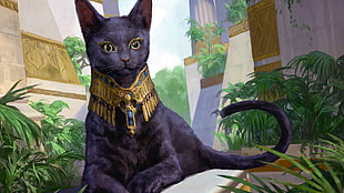 short-coated black cat, digital art, Egyptian, black cats, sacred cat  HD wallpaper