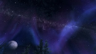 green trees during night time, The Elder Scrolls V: Skyrim, stars