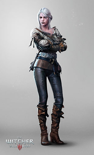 The Witcher Wild Hunt character