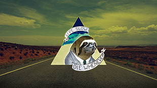 live slow die whenever sticker, sloths, humor, road, life HD wallpaper