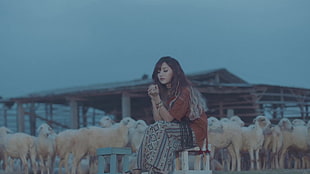 woman sitting on chair near herd of sheep