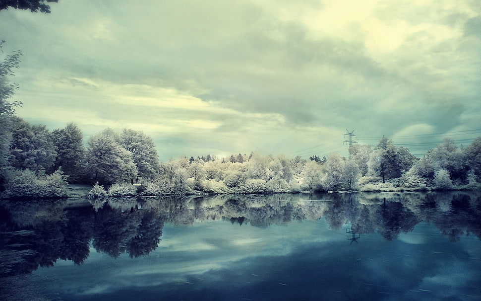 lake and trees, frost, forest, lake, power lines HD wallpaper