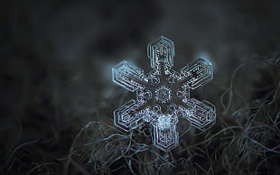 gray snowflakes digital wallpaper