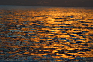 sea and sunset, sunlight, sea, sunset, water HD wallpaper