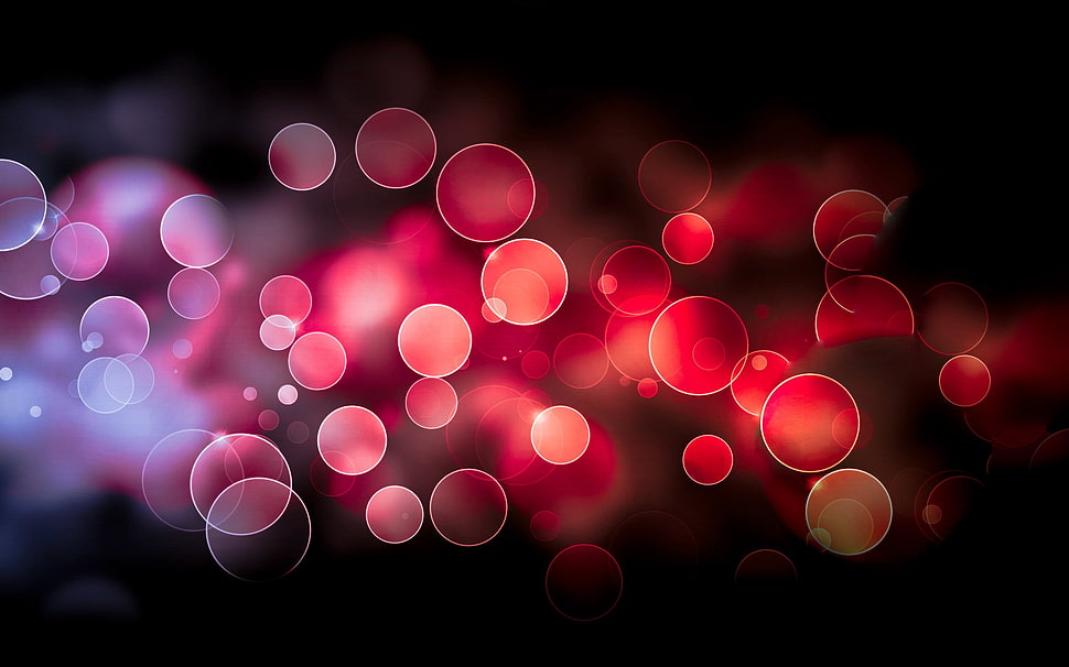 red and purple bokeh photography HD wallpaper