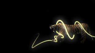 black and brown horse head, animals, light trails, tiger, black background HD wallpaper