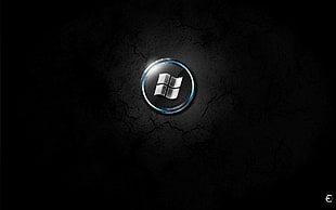 Windows logo