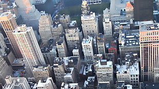 aerial view of City buildings during daytime