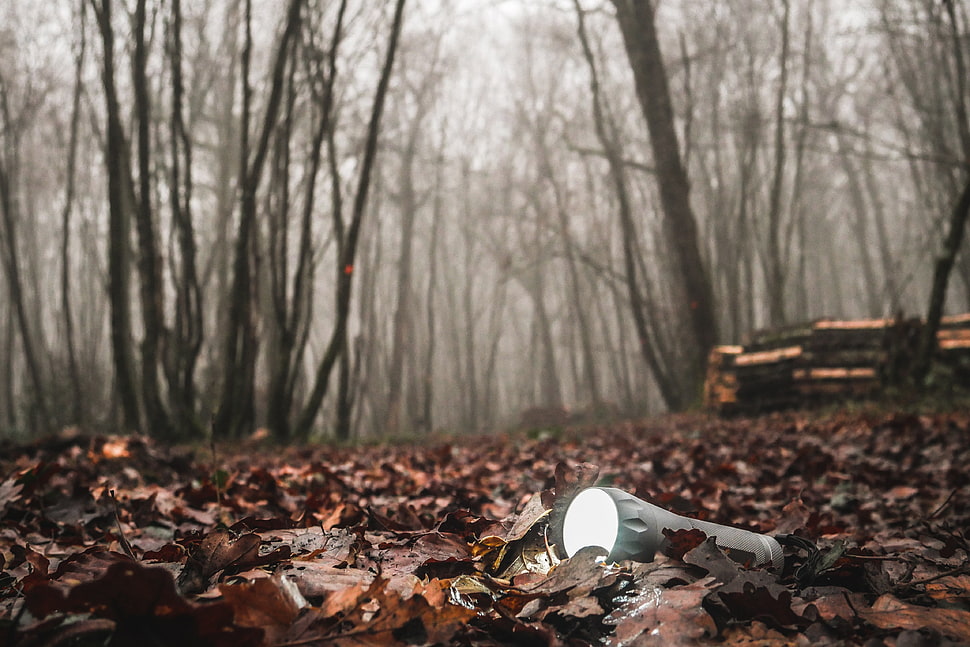 gray flashlight, forest, mist, torchlight HD wallpaper