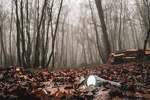 gray flashlight, forest, mist, torchlight HD wallpaper