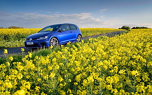 blue 3-door hatchback near yellow petaled floral field during daytime