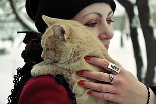 selective focus photography of female carrying orange tabby kitten