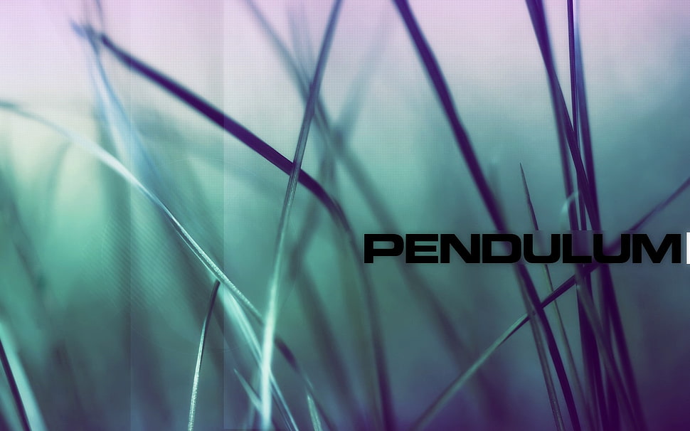Pendulum wallpaper HD wallpaper