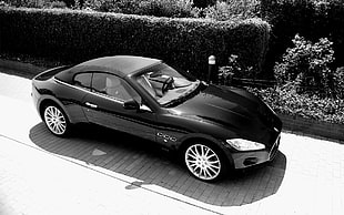 grayscale photography of sports car parked beside flowers