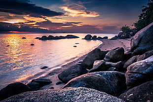 rocky seashore during sunset HD wallpaper