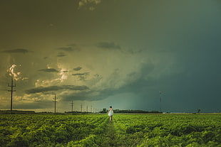 photography of woman walking across green grass HD wallpaper