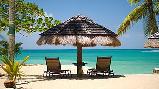 two brown sunbathing loungers, island, beach, umbrella, palm trees