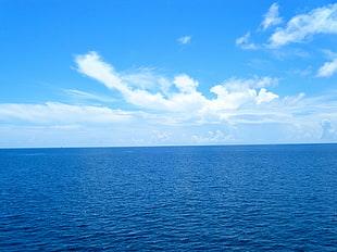 photography of blue ocean during daytime, great barrier reef HD wallpaper
