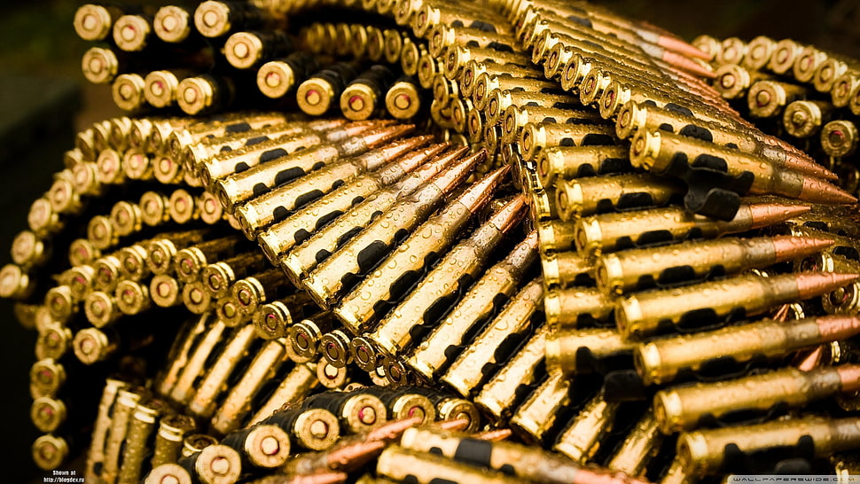 gold bullet lot, ammunition, water drops HD wallpaper