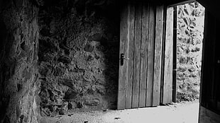 gray wooden door, castle, door, old building, monochrome