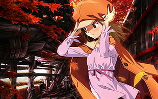 brown haired female anime illustration