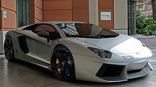 white Lamborghini sports car, car, Lamborghini, Lamborghini Aventador
