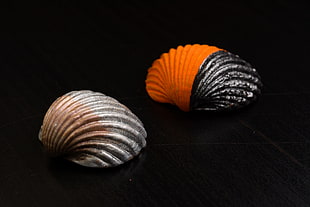 two gray and black-and-orange shells HD wallpaper