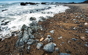 grey rocks on shoreline at daytime HD wallpaper