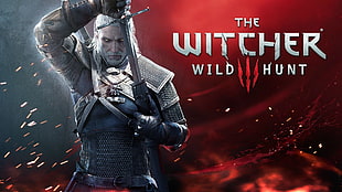 The Witcher III Wild Hunt wallpaper, The Witcher 3: Wild Hunt, video games HD wallpaper