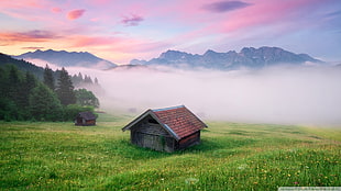 white and red house miniature, landscape, valley, mist, watermarked HD wallpaper