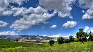 landscape photography of green grass field HD wallpaper