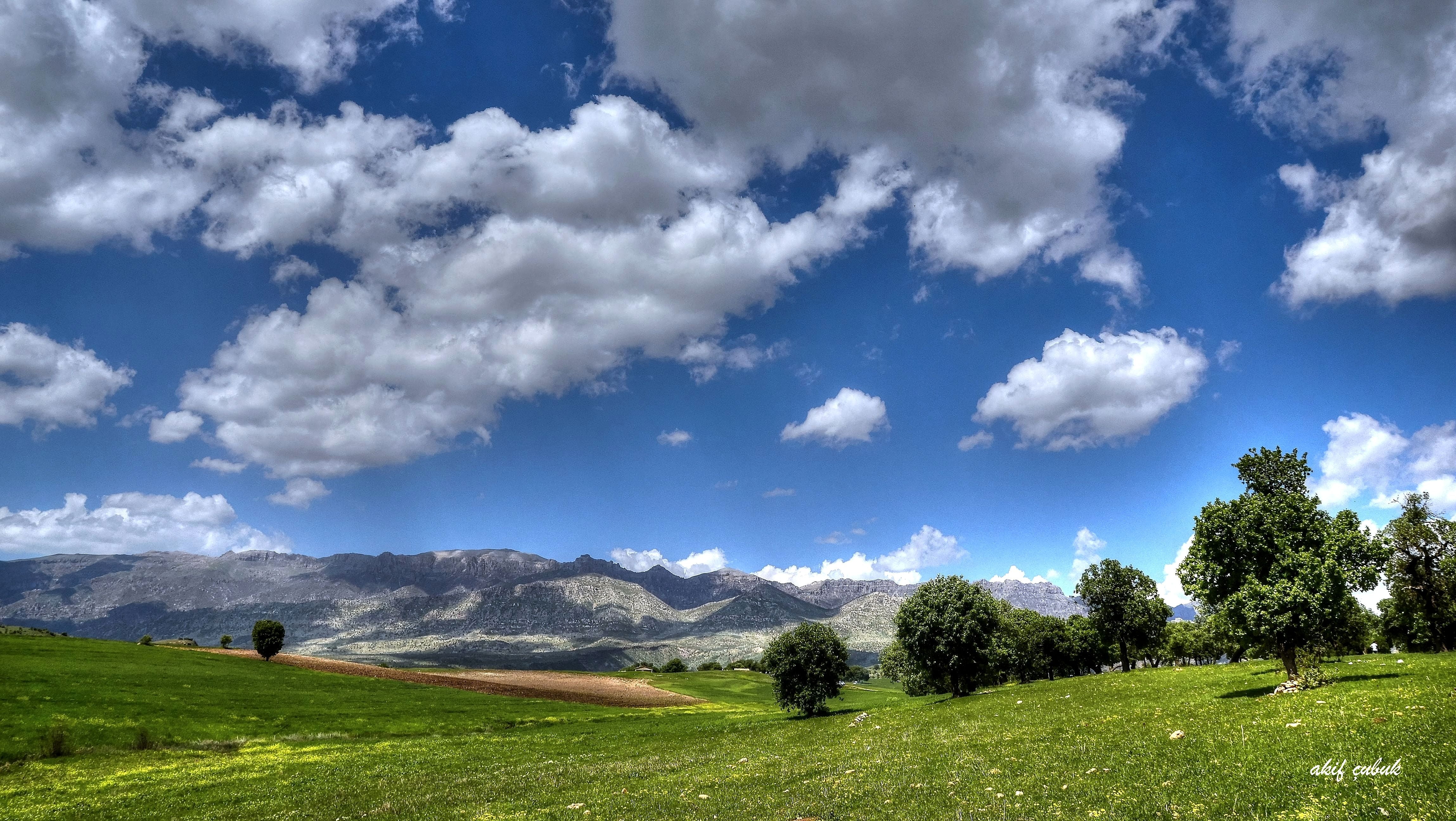 landscape photography of green grass field