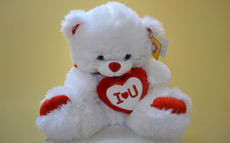 white and red bear plush toy, teddy bears, love HD wallpaper