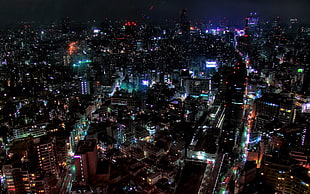 areal photo of city buildings during nighttime